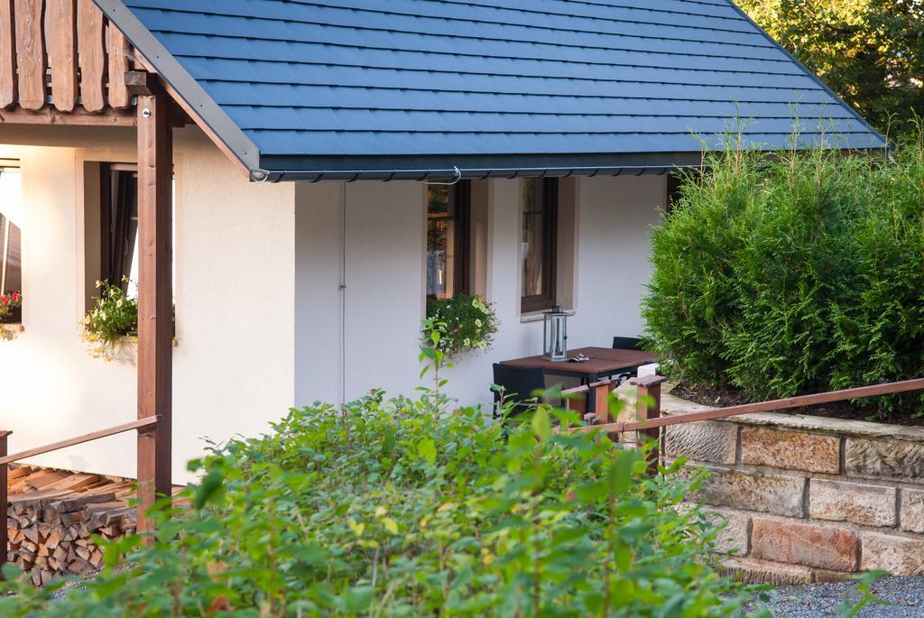 Haus Waldfrieden Lägenhet Altenberg  Exteriör bild