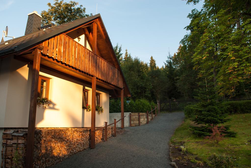 Haus Waldfrieden Lägenhet Altenberg  Exteriör bild